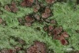 Polished Pyrope, Forsterite, Diopside & Omphacite Section- Norway #131438-1
